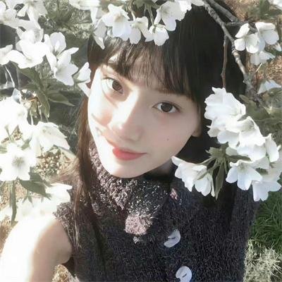 乱世花道